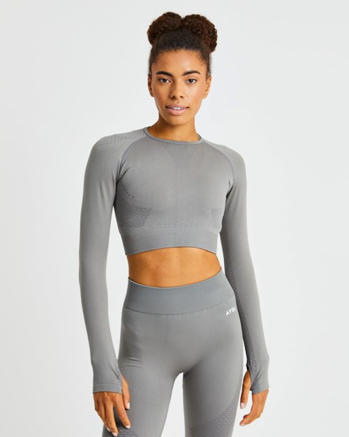 AYBL Ignite Seamless Long Sleeve Crop Top Grijs | 8234107-SA