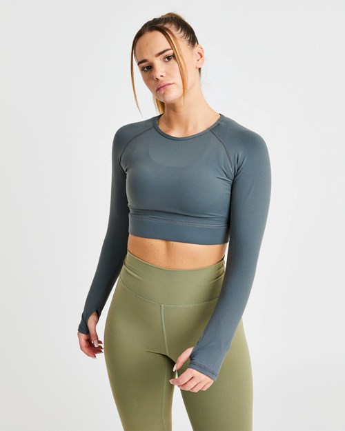 AYBL Core Long Sleeve Crop Top Grijs | 4081623-ZL