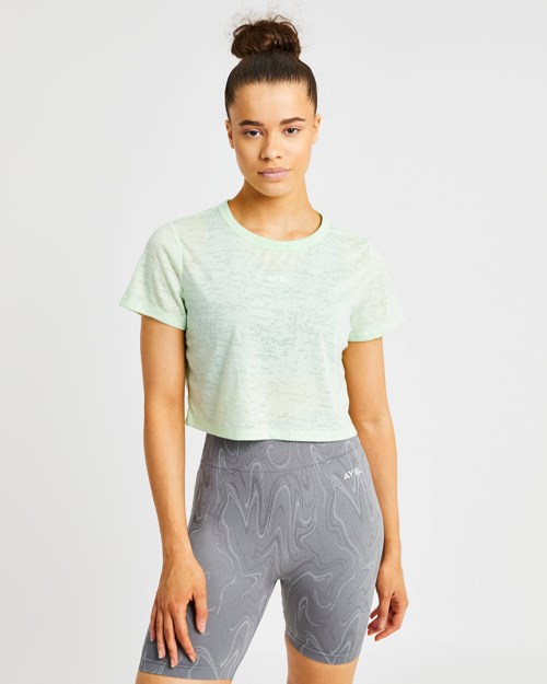 AYBL Velocity Crop T Shirt Mintgroen | 1589734-BM