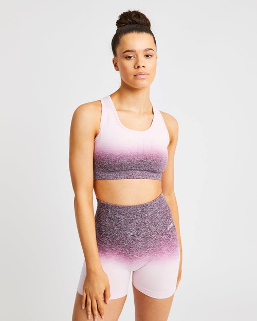 AYBL Pulse Ombré Seamless Sports Bra Plum | 5647190-MN