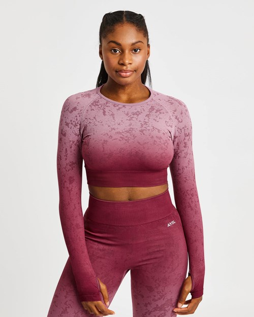 AYBL Flare Seamless Long Sleeve Crop Top Plum | 4807312-SY