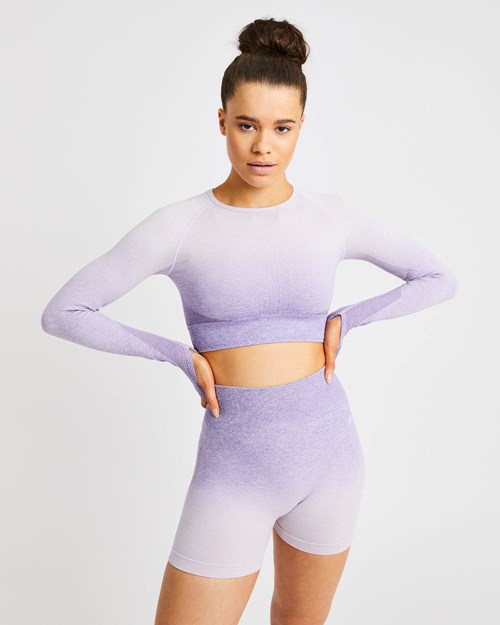 AYBL Pulse Ombré Seamless Long Sleeve Crop Top Lilac | 4793826-JB