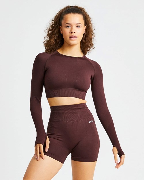 AYBL Balance V2 Seamless Long Sleeve Crop Top Chocola Bruin | 5201749-QH