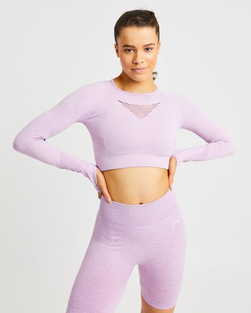 AYBL Motion Seamless Long Sleeve Crop Top Roze | 1835479-WC