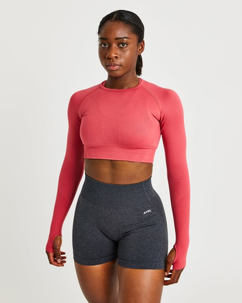 AYBL Balance V2 Seamless Long Sleeve Crop Top Roze | 3852160-YU