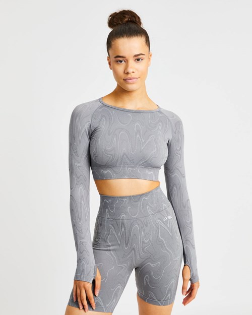 AYBL Velocity Seamless Long Sleeve Crop Top Grijs | 4826795-TP