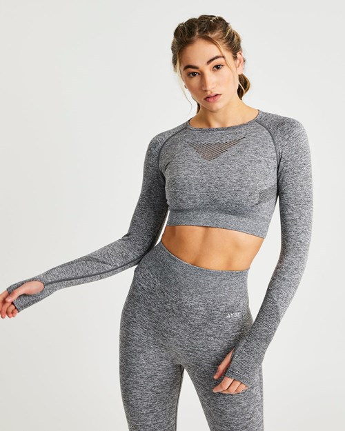 AYBL Motion Seamless Long Sleeve Crop Top Grijs | 0723659-SZ