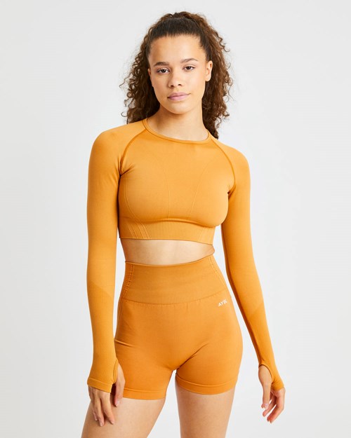 AYBL Balance V2 Seamless Long Sleeve Crop Top Oranje | 6705831-JC