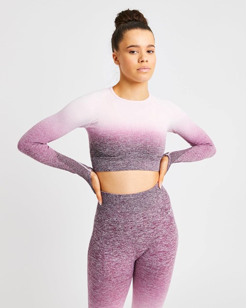 AYBL Pulse Ombré Seamless Long Sleeve Crop Top Plum | 0837164-ZM