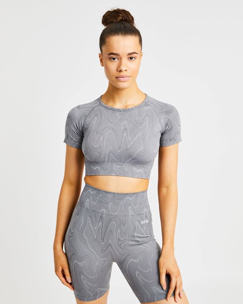 AYBL Velocity Seamless Crop Top Grijs | 6259301-YU