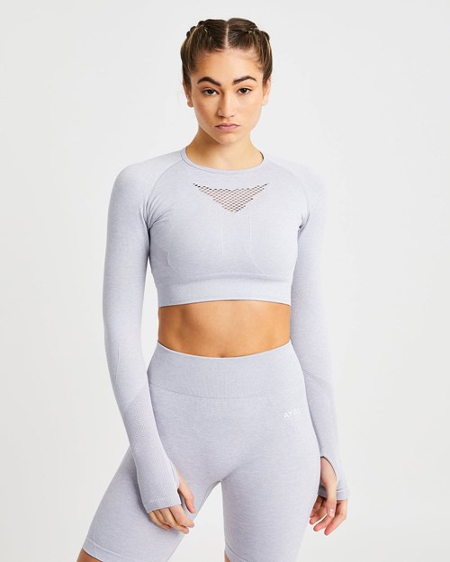 AYBL Motion Seamless Long Sleeve Crop Top Lichtgrijs | 1582940-KM