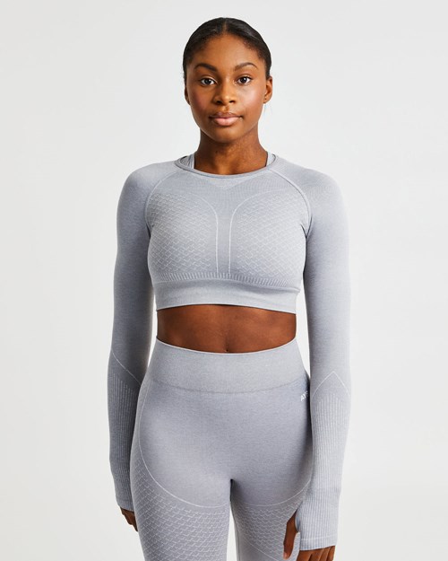 AYBL Impact Seamless Long Sleeve Crop Top Grijs | 7921630-WF