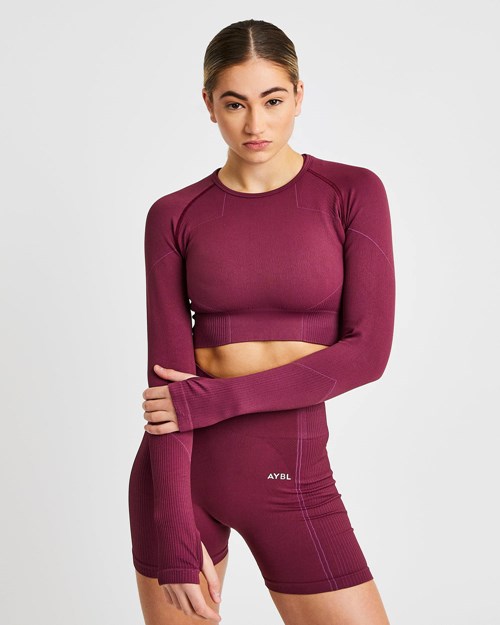 AYBL Reflex Seamless Long Sleeve Crop Top Plum | 8029714-WF