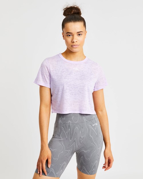 AYBL Velocity Crop T Shirt Lilac | 4016972-ER