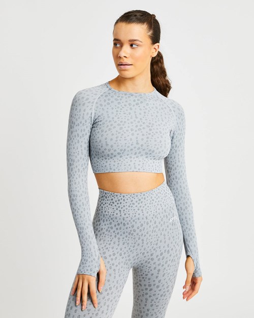 AYBL Evolve Speckle Seamless Long Sleeve Crop Top Lichtgrijs | 6415938-ZI