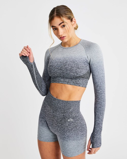 AYBL Pulse Ombré Seamless Long Sleeve Crop Top Grijs | 6014953-DO