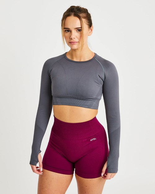 AYBL Balance V2 Seamless Long Sleeve Crop Top Grijs | 0513624-QL