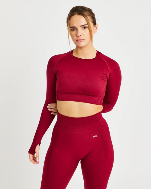 AYBL Balance V2 Seamless Long Sleeve Crop Top Rood | 6137925-UF