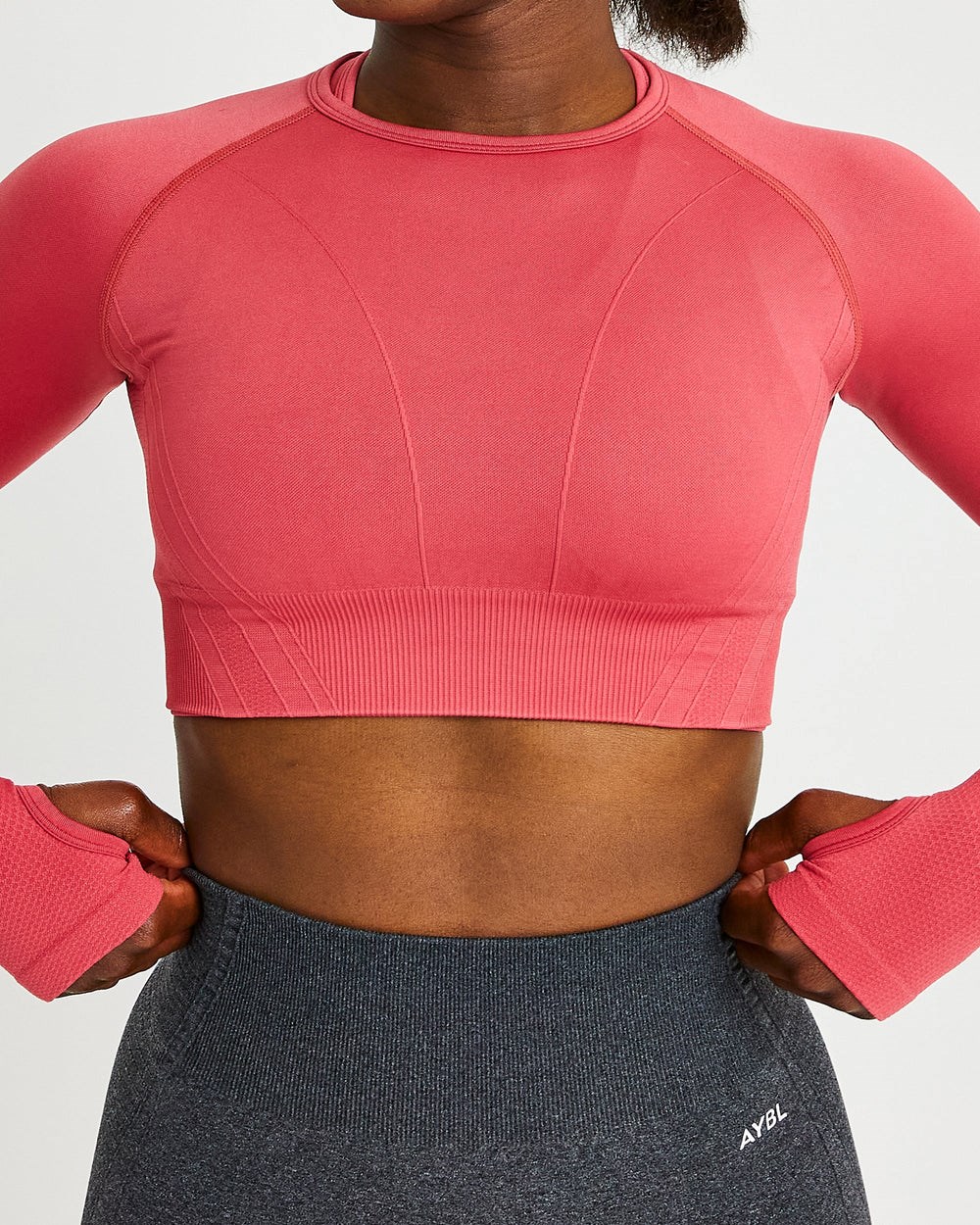 AYBL Balance V2 Seamless Long Sleeve Crop Top Roze | 3852160-YU