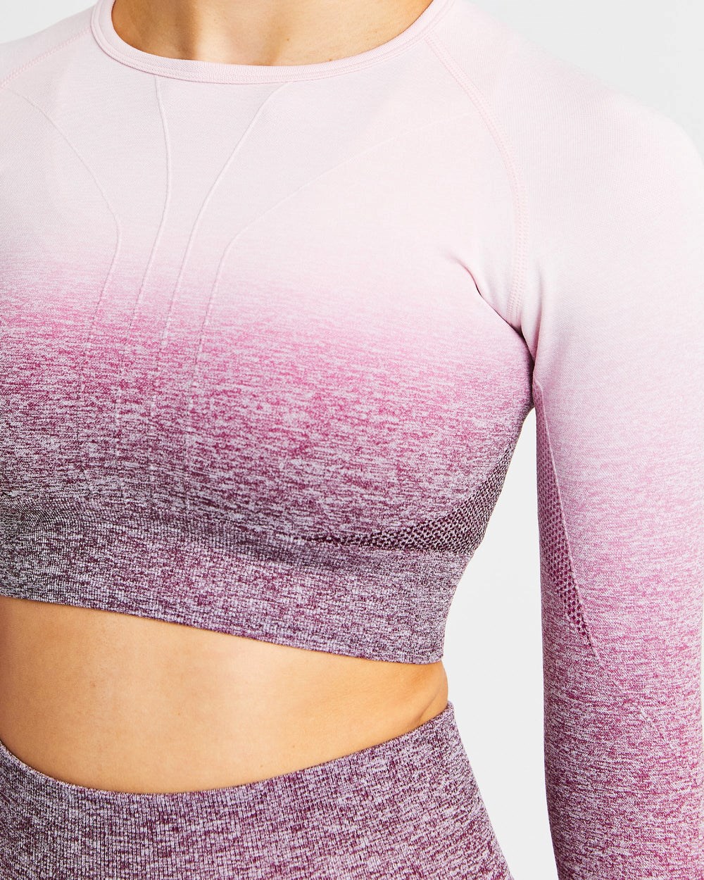 AYBL Pulse Ombré Seamless Long Sleeve Crop Top Plum | 5349601-TL