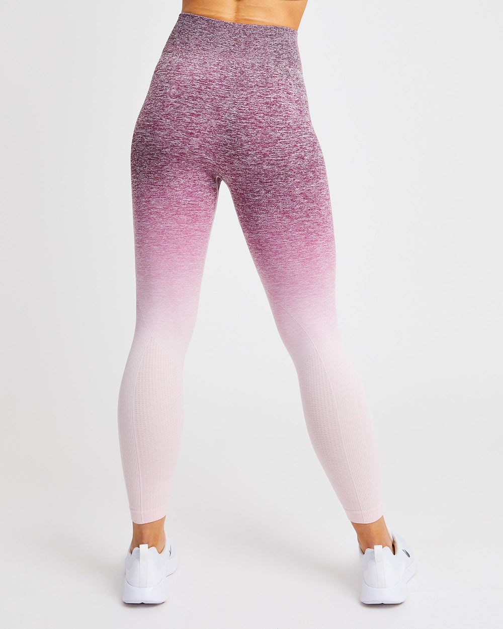 AYBL Pulse Ombré Seamless Leggings Plum | 1827063-ED